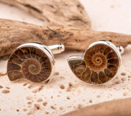 Museum & Art Swindon - Dinosaur Bone Pendant