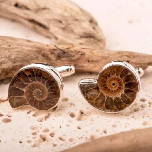 Museum & Art Swindon - Ammonite Cufflinks