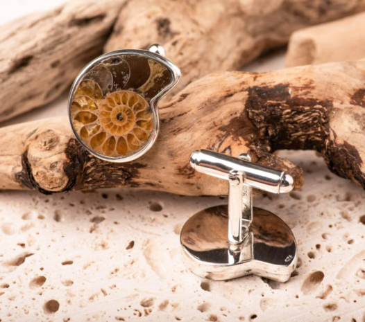 Museum & Art Swindon - Ammonite Cufflinks