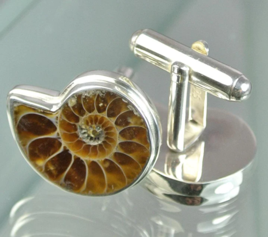 Museum & Art Swindon - Ammonite Cufflinks