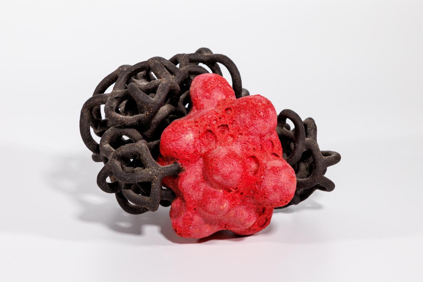 Museum & Art Swindon - Radical Shifts: Curator Tour of Beneath the Surface