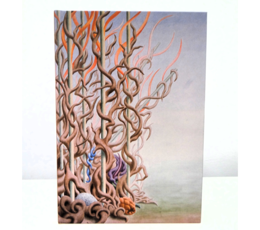 Museum & Art Swindon - Inspired by our Collections