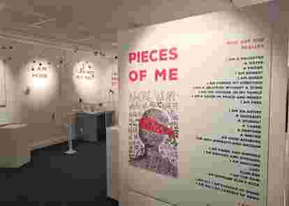 Museum & Art Swindon - Collections