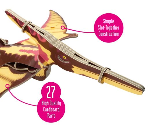 Museum & Art Swindon - Build Your Own Pteranodon