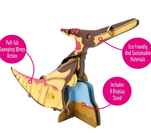 Museum & Art Swindon - Build Your Own Pteranodon