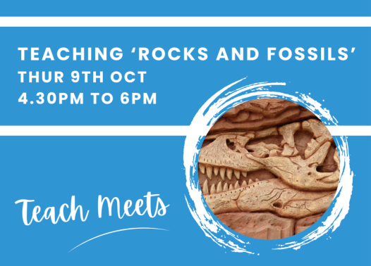 Museum & Art Swindon - Teacher programme