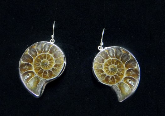 Museum & Art Swindon - Ammonite Earrings