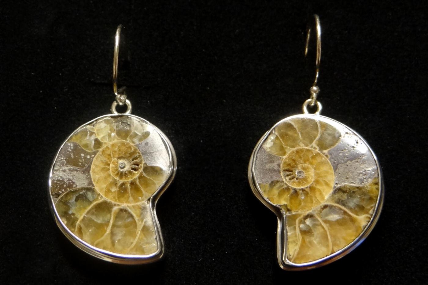 Earrings from online shop