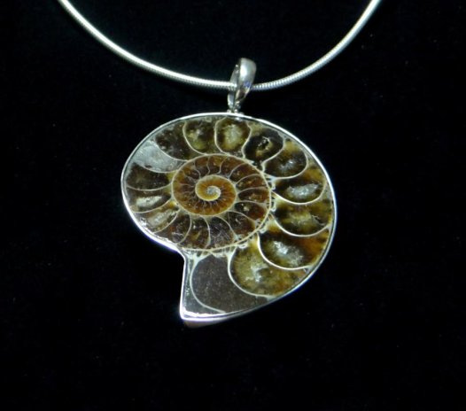 Museum & Art Swindon - Jewellery