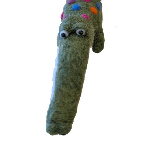 Museum & Art Swindon - Felt Gharial