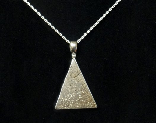 Museum & Art Swindon - Dinosaur Bone Pendant