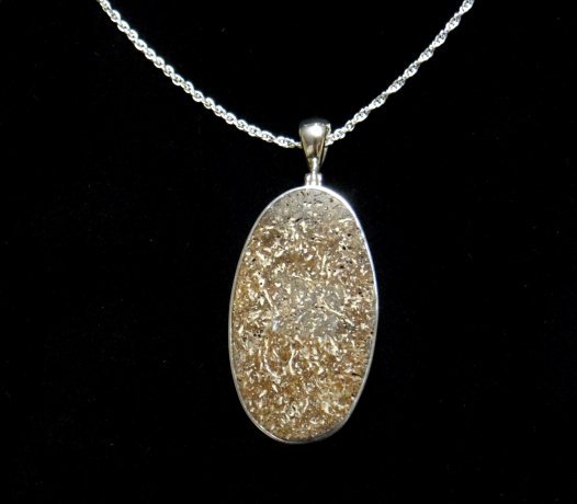 Museum & Art Swindon - Dinosaur Fossil Pendant